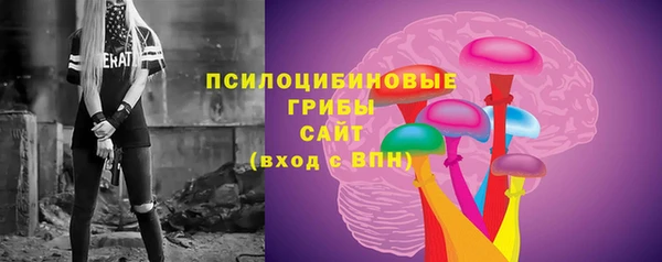 марки nbome Белокуриха