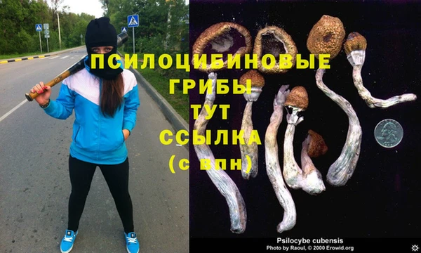 марки nbome Белокуриха