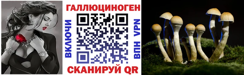 гидра ONION  Кушва  дарк нет клад  как найти закладки  Псилоцибиновые грибы мицелий 